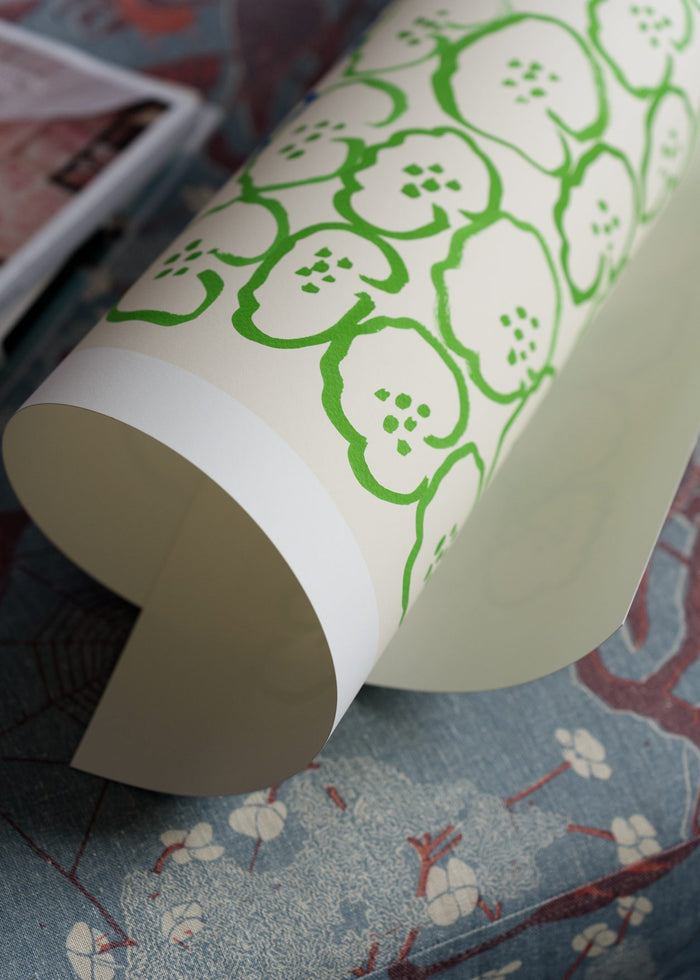 Centella by Rosie McGuinness