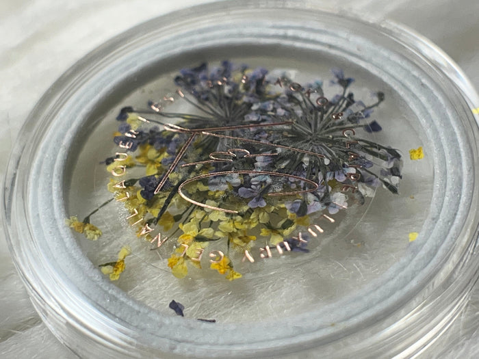Dried Flowers - 6 colors to choose from | Koko & Claire