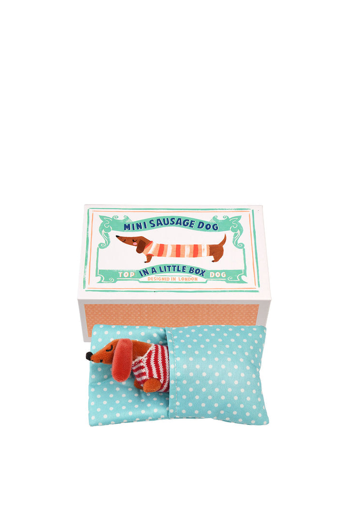 Mini Sausage Dog In A Little Box