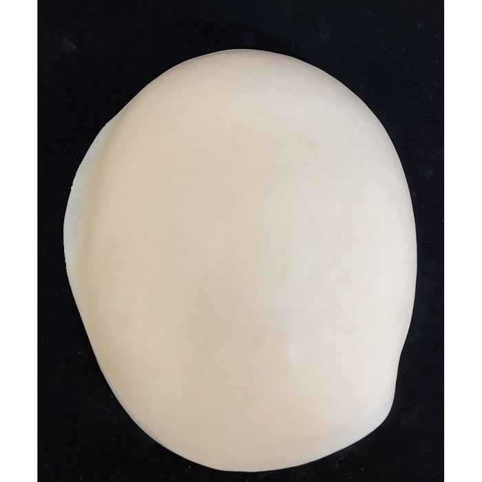 Reelskin Scalp Micropigmentation Practice Mold With 2 Skins