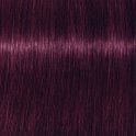 Schwarzkopf Igora Royal 60ml - 6.99
