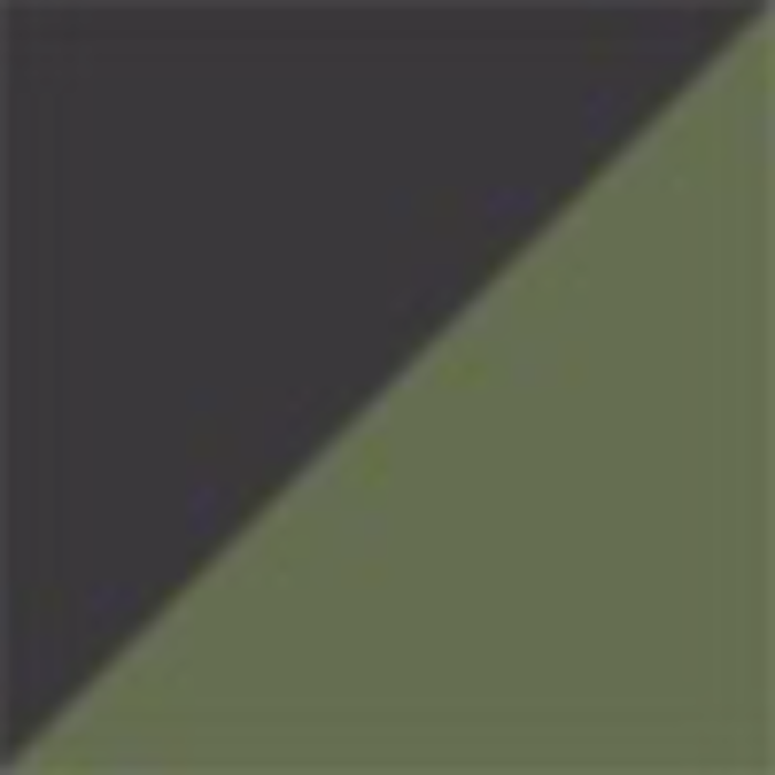color_swatch:PHANTOM/OLIVE