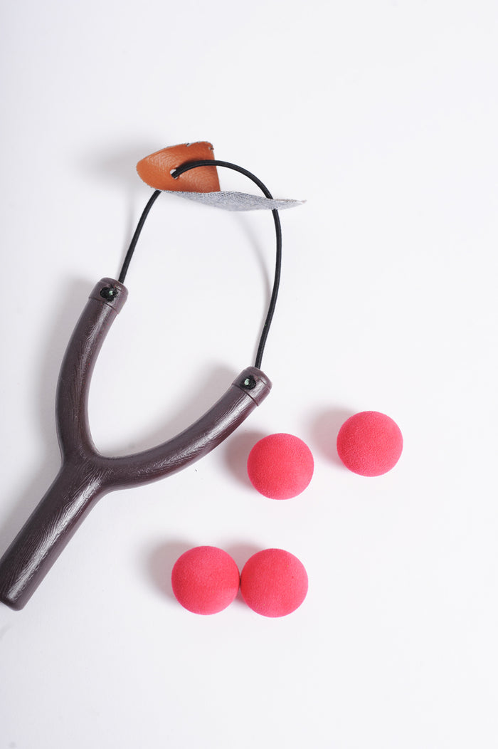 Catapult Toy