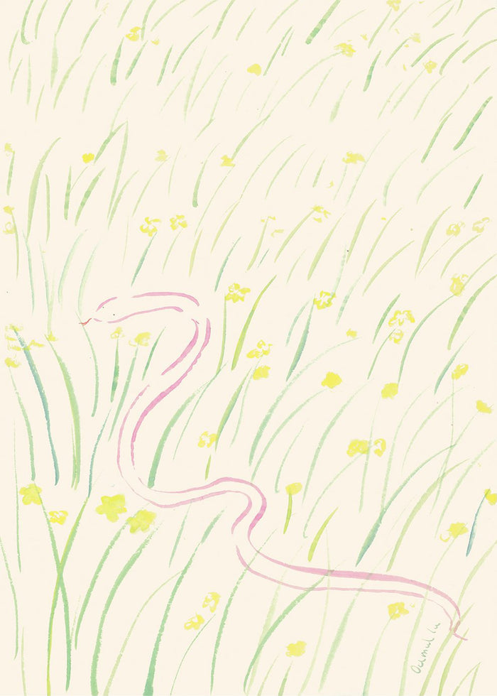 Daffodils and Snake by Oamul