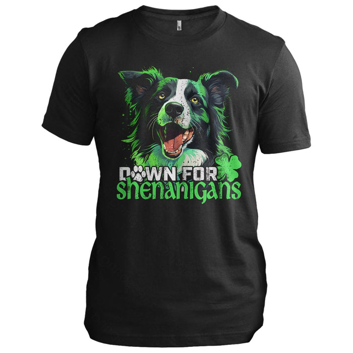 Down for Shenanigans: Border Collie
