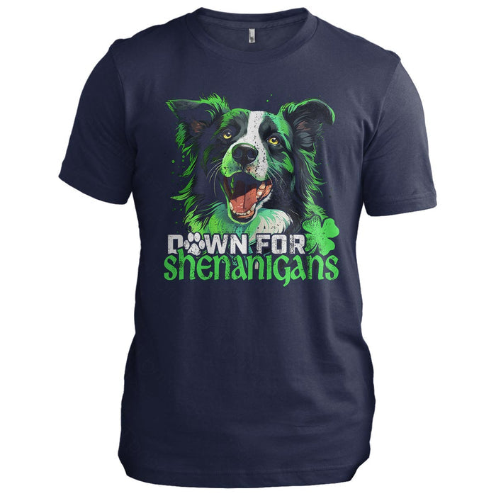 Down for Shenanigans: Border Collie