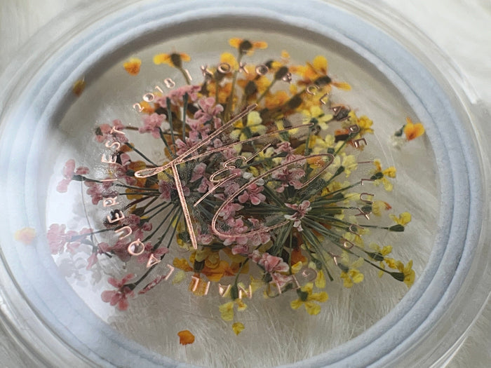 Dried Flowers - 6 colors to choose from | Koko & Claire