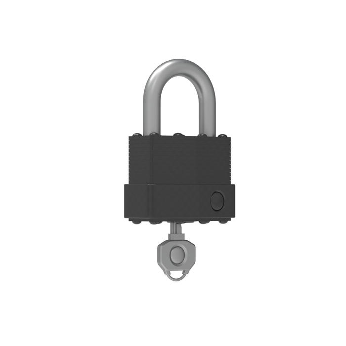 Durasheds Shed Accessories DuraMax Heavy-Duty Security Padlock