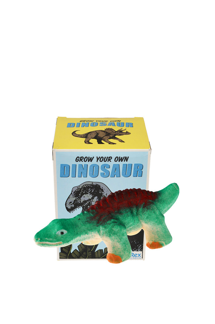 Giant Hatching Dinosaur Egg