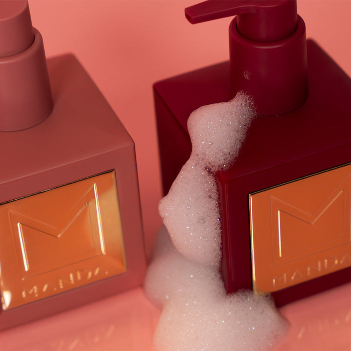 Holiday Kit - shampoo & conditioner