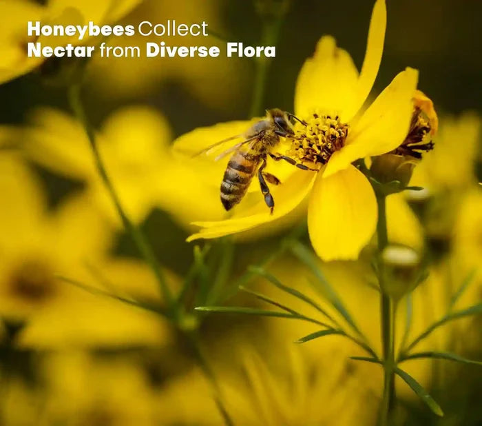 HONEY PRO – HIMALAYAN MULTIFLORAL HONEY