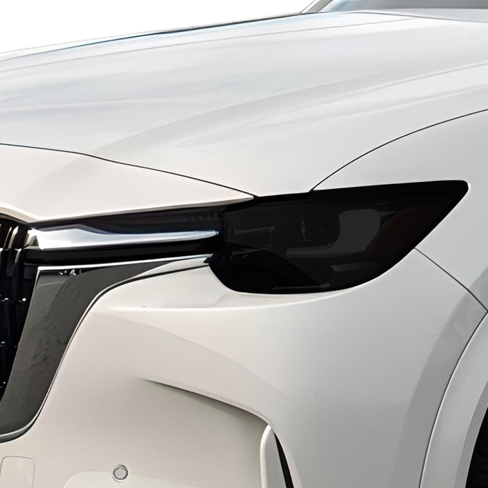 Front Tint Kit (DARK)