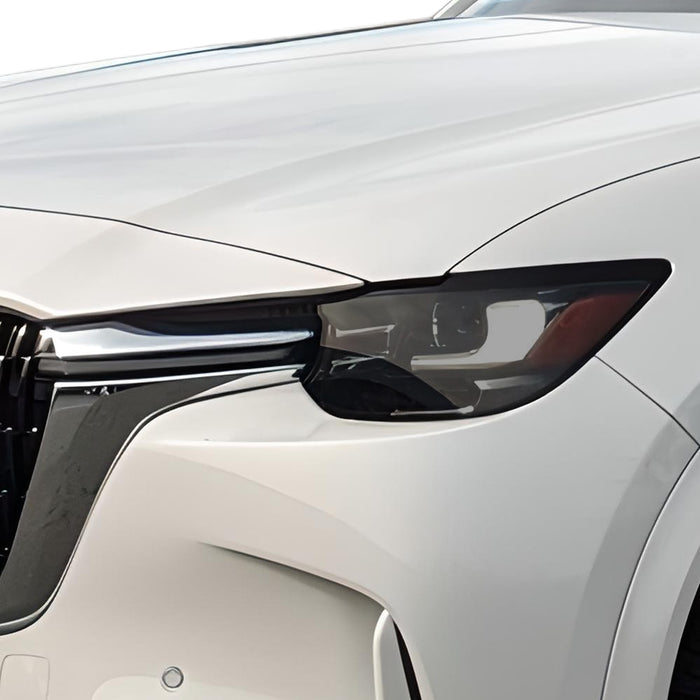 Front Tint Kit (LIGHT)