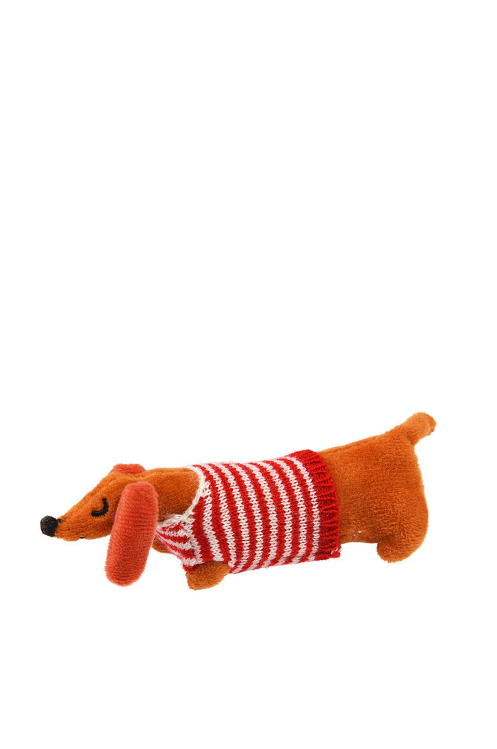 Mini Sausage Dog In A Little Box