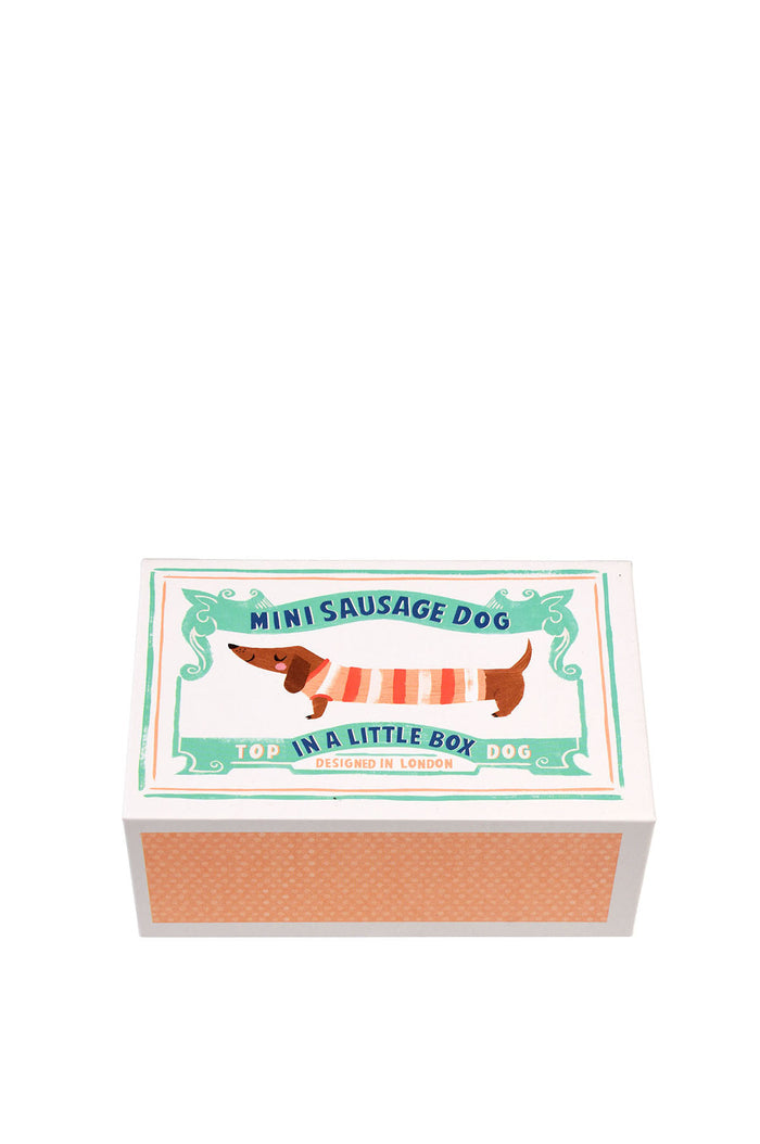 Mini Sausage Dog In A Little Box
