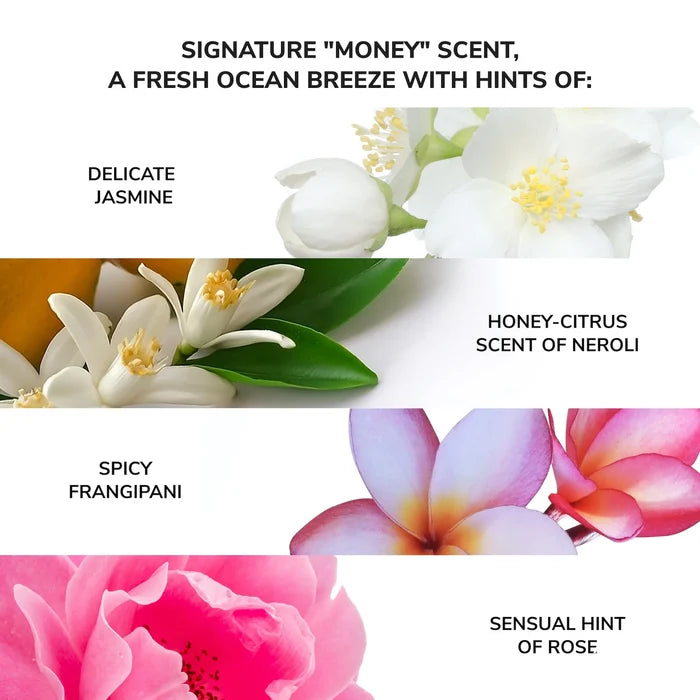 Money Laundering Glossing Conditioner