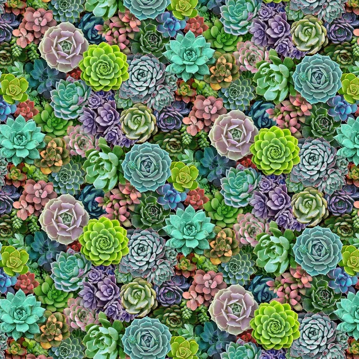 Multi Mini Succulents- Fat Quarter