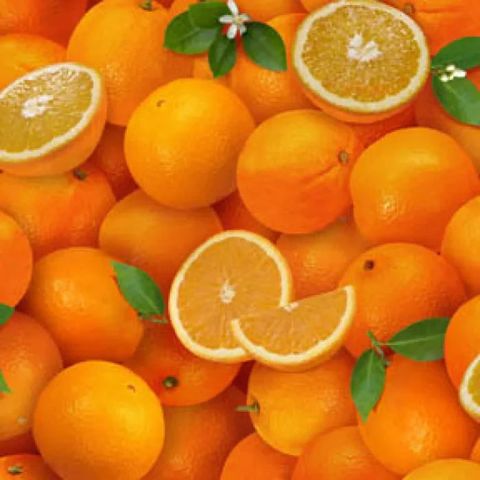 Orange Oranges- Fat Quarter