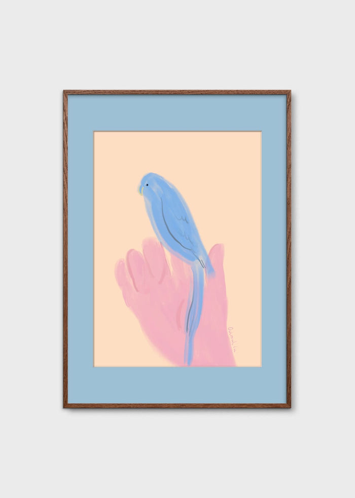 Parrot in Hand by Oamul