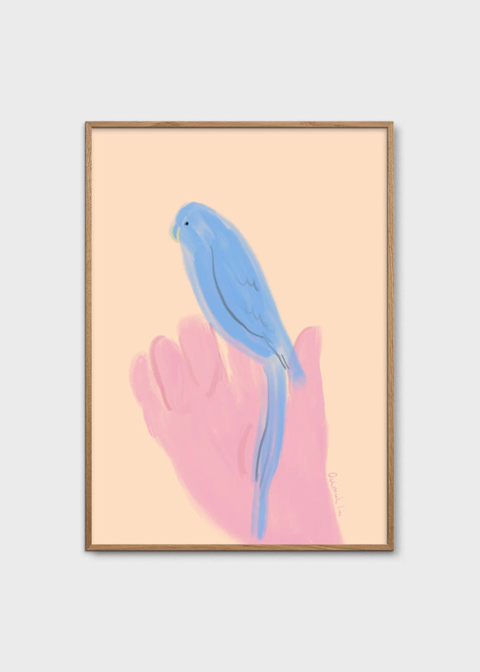 Parrot in Hand by Oamul