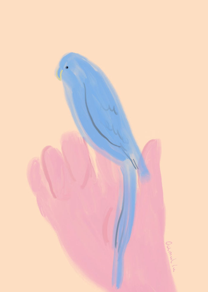 Parrot in Hand by Oamul