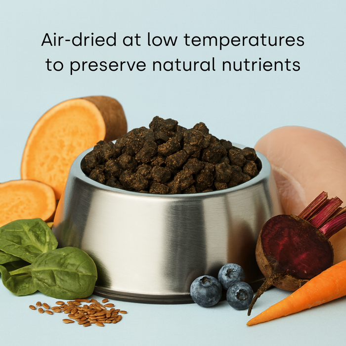 Premium Air-Dried Dog Food - Skin & Coat Wellness