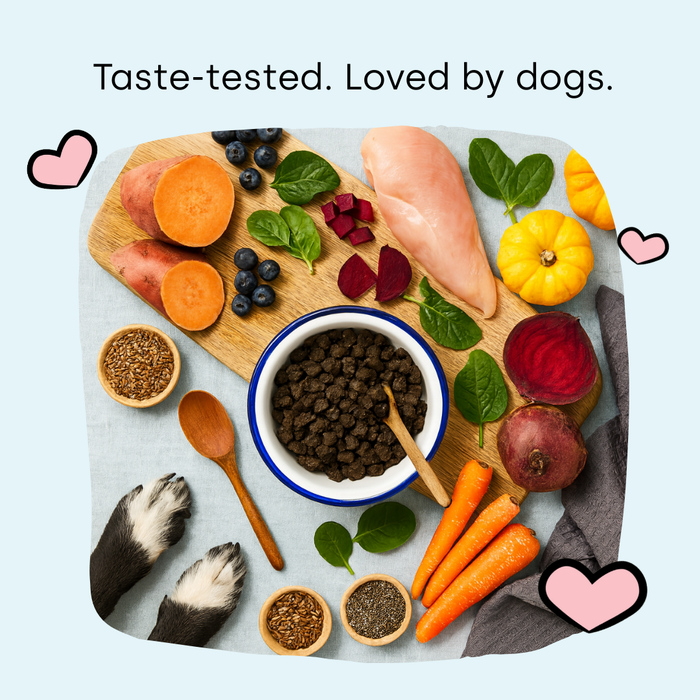 Premium Air-Dried Dog Food - Skin & Coat Wellness
