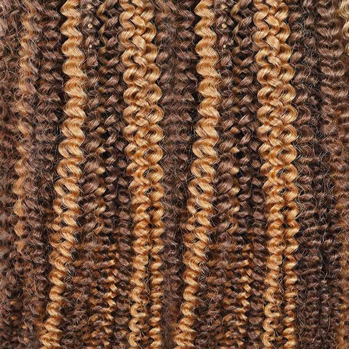 #P4/27 colored afro kinky curly crochet braiding hair