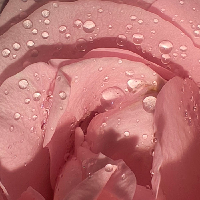 RAINDROPS