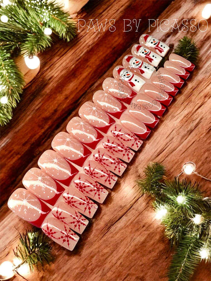Red Hot Holiday RTS - Paws By Picasso Red Hot Holiday RTS