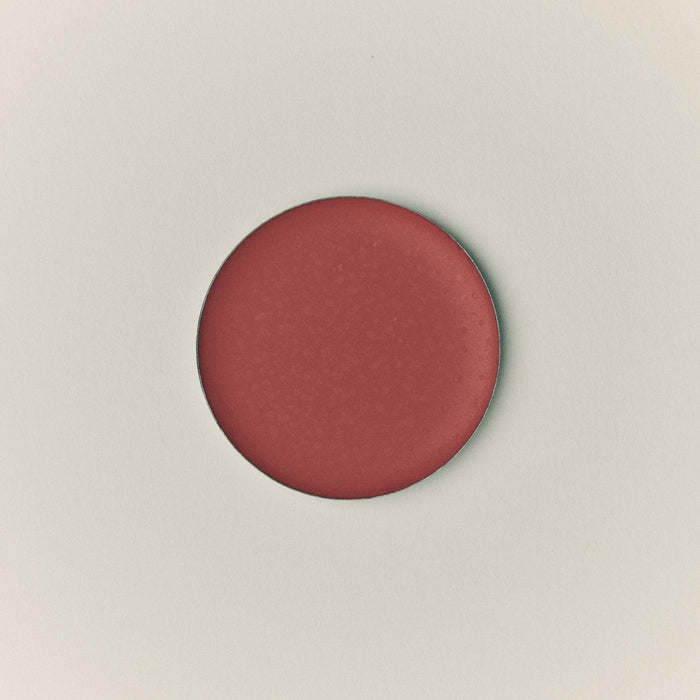 Refill Palette with Lip Oil Refill #1 #2 #4