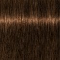 Schwarzkopf Igora Royal 60ml - 6.5