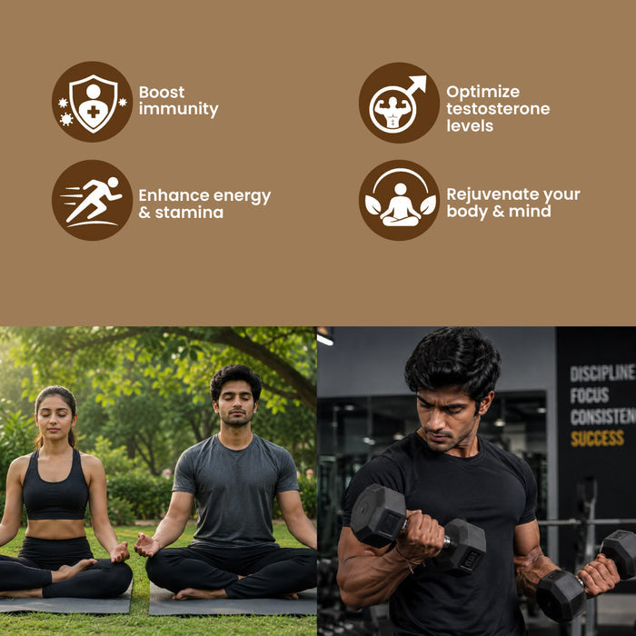 SHILAJIT BHASMA PRO
