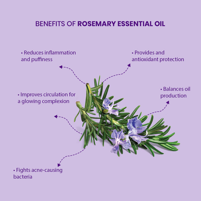 SPRING H2O Organic Rosemary Essential Oil 15ml | 100% Pure and Natural For Hair Growth