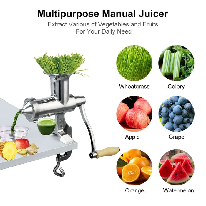 Stainless Steel Juicer with Slow Squeezing