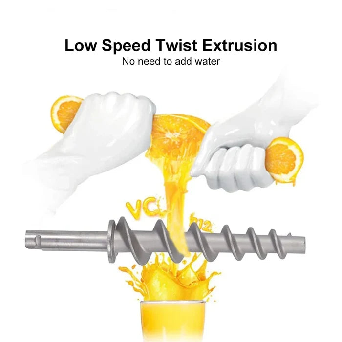 Stainless Steel Juicer with Slow Squeezing