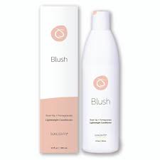 Sunlights Blush Lightweight Conditioner 12oz - Sunlights | Artisan Hair Cary, Cary NC