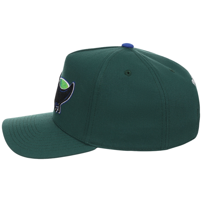 Tampa Bay Rays Mitchell & Ness MLB 'Era Flip' Heritage Series Pro Pinch - Green/Green