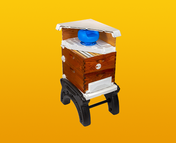 Ultimate Direct In-Hive Bee Feeder